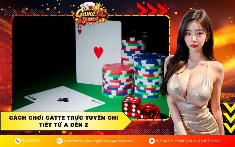 Cách chơi Catte trực tuyến chi tiết từ A đến Z